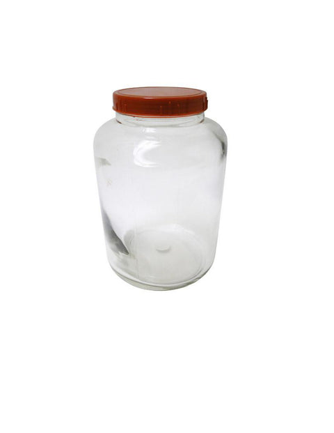 Round Glass Cookie Jar 1.7Gal